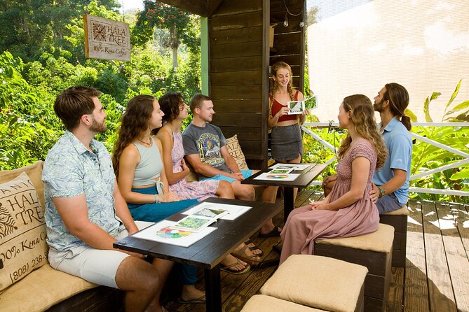 Hala Tree Coffee Farm Tour - Start with the coffee tree and its red cherries