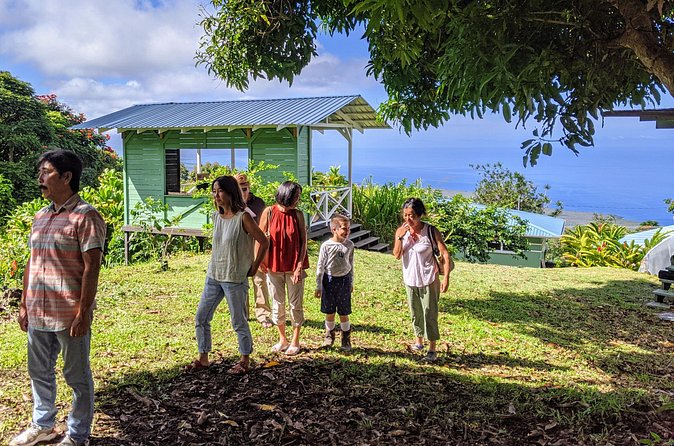 Hala Tree Coffee Farm Tour - See how roasting changes the flavor