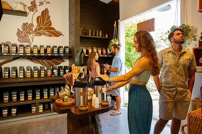 Hala Tree Coffee Farm Tour - Who will enjoy Hala Tree most?