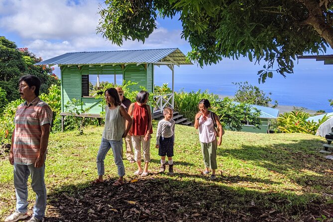 Hala Tree Coffee Farm Tour - Follow the bean through harvesting and processing