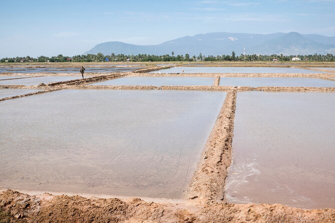 Half-Day Adventure to the Pepper Farm by Scooter - Rice paddies and old farming methods