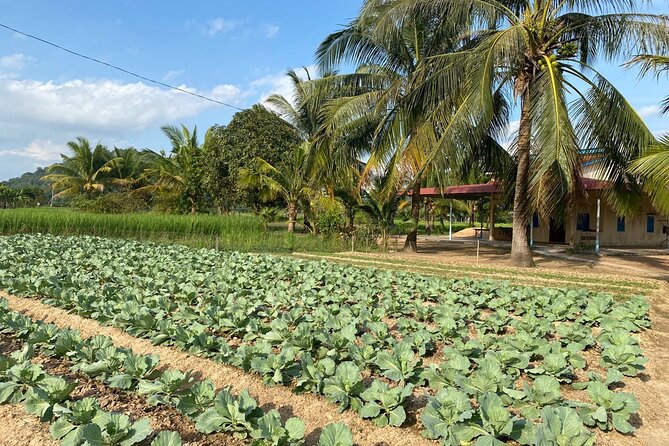 Half-Day Adventure to the Pepper Farm by Scooter - Secret Lake and the difficult story behind it
