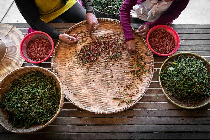 Half-Day Adventure to the Pepper Farm by Scooter - Salt fields and the first taste of local industry