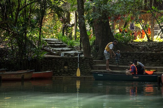 Half-Day Barton Creek Cave with Optional Zipline, Butterfly Farm Or Rock Falls - Butterflies, orchids, and the botanical garden