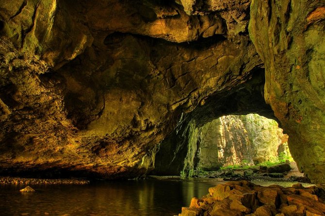 Half-Day Barton Creek Cave with Optional Zipline, Butterfly Farm Or Rock Falls - Jungle zipline with nine runs