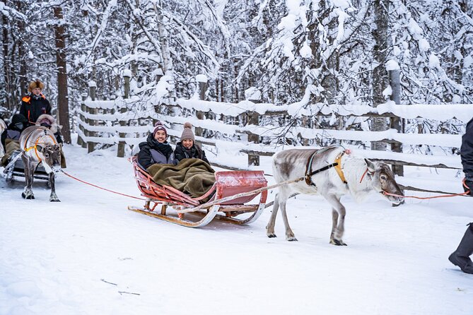 Half-Day Experience in Local reindeer farm in Lapland - Leaving Rovaniemi at 8:15 in the morning