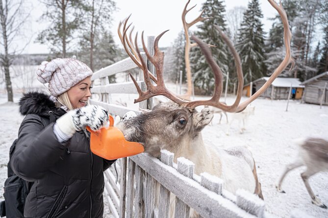 Half-Day Experience in Local reindeer farm in Lapland - Pancakes and hot chocolate in the kota