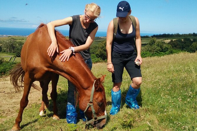 Half-Day Farm Visit and Cow Milking Experience - Why this small farm visit feels different