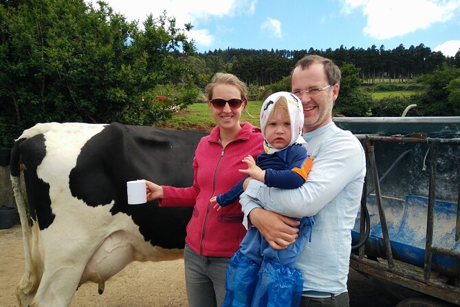 Half-Day Farm Visit and Cow Milking Experience - Cheese and wine in an Azorean living room