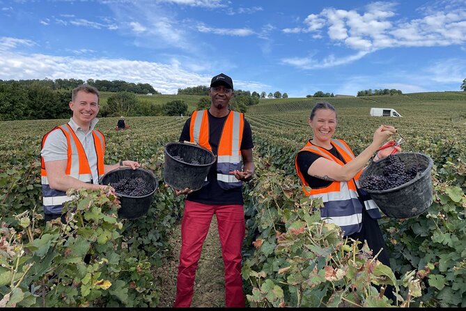 Half Day Grape Harvest Experience with Tasting in Epernay - Key points to know before booking