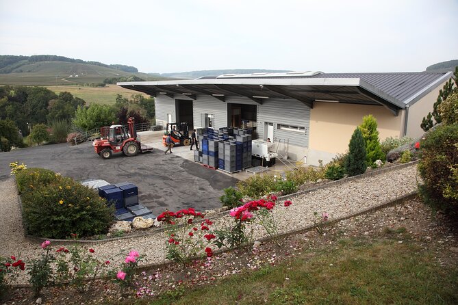 Half Day Grape Harvest Experience with Tasting in Epernay - Champagne tasting at the end of the visit