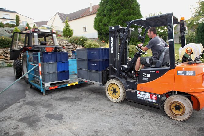 Half Day Grape Harvest Experience with Tasting in Epernay - The family estate and the harvest work