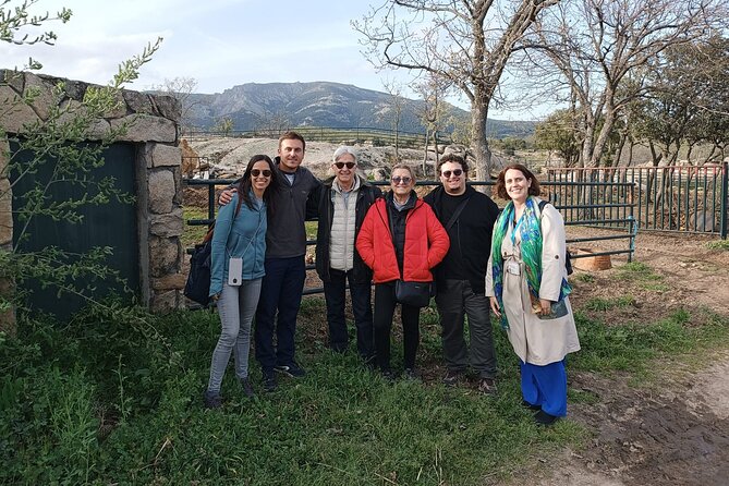 Half-Day Guided Tour to a bull farm in Madrid - How ranchers select cattle for breeding