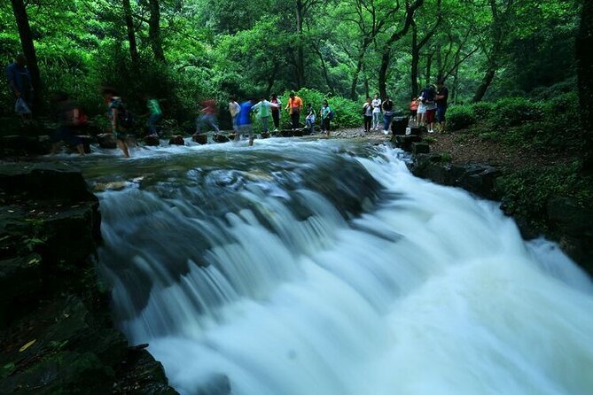 Half-Day Hangzhou Jiuxi Stream and Tea Plantation Experience - From Hangzhou streets to Jiuxi’s quiet water