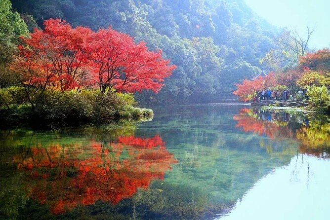 Half-Day Hangzhou Jiuxi Stream and Tea Plantation Experience - Tea, village food, and the value of the extra option