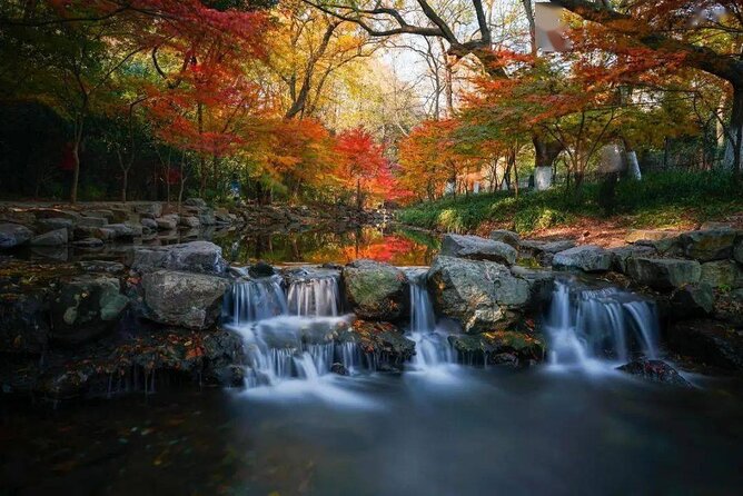 Half-Day Hangzhou Jiuxi Stream and Tea Plantation Experience - Timing, weather, and what to bring