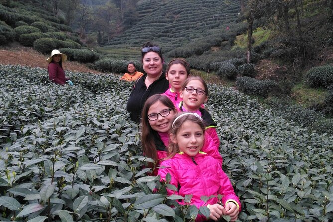 Half-Day Hangzhou Jiuxi Stream and Tea Plantation Experience - Who will enjoy this half-day outing