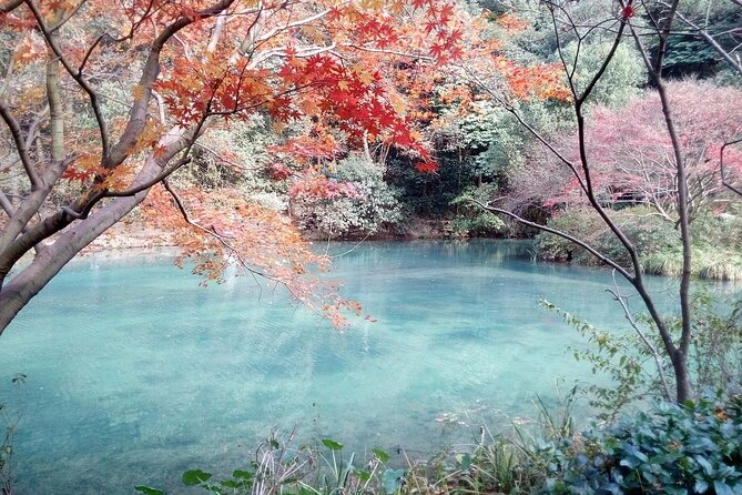 Half-Day Hangzhou Jiuxi Stream and Tea Plantation Experience - Booking details worth checking before you go
