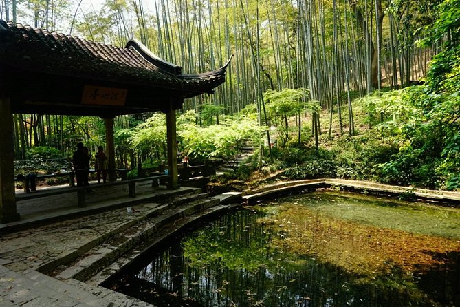 Half-Day Hangzhou Yunxi Bamboo Forest and Tea Plantation Experience - Key points to know before booking