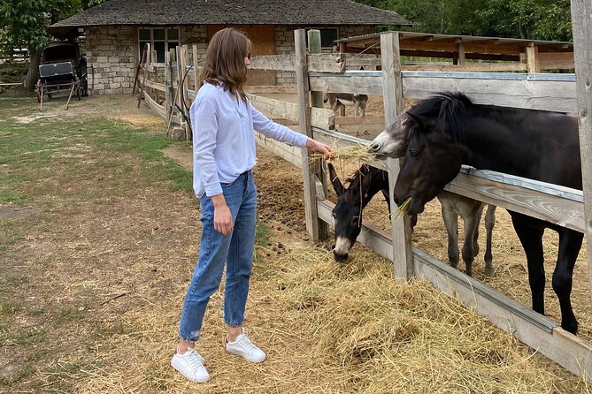 Half-Day Private Guided Tour of Orheiul Vechi and a Farmhouse - Timing, pickup, and cancellation details