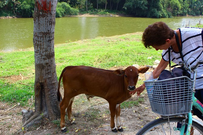 Half Day Ride Bike To The Farm and Cooking Activity with Foot Massage - Who will enjoy this Hoi An farm day