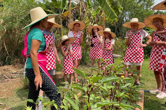 Half-Day Thai Cooking Class at Organic Farm in Chiang Mai - Key points to know before you book
