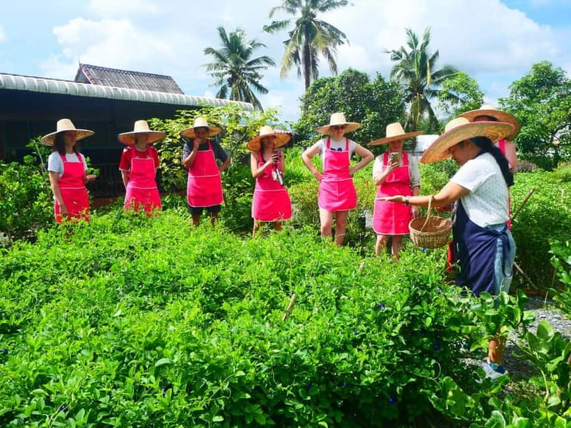 Half-Day Thai Cooking Class on a Local Farm Near Chiang Mai - Who will enjoy this Chiang Mai cooking day