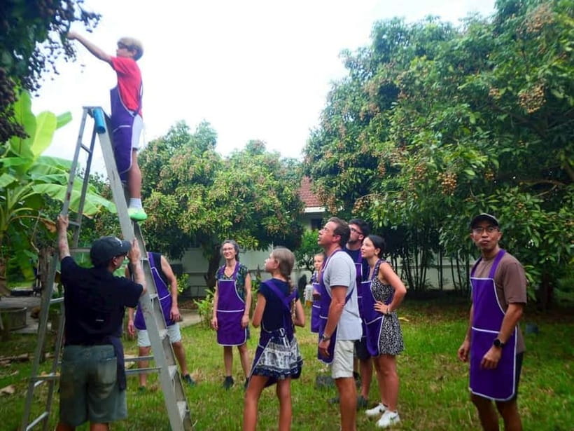 Half-Day Thai Cooking Class on a Local Farm Near Chiang Mai - Why this farm class works better than a quick cooking lesson
