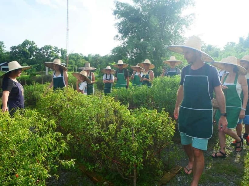 Half-Day Thai Cooking Class on a Local Farm Near Chiang Mai - Morning or evening: choose the timing carefully