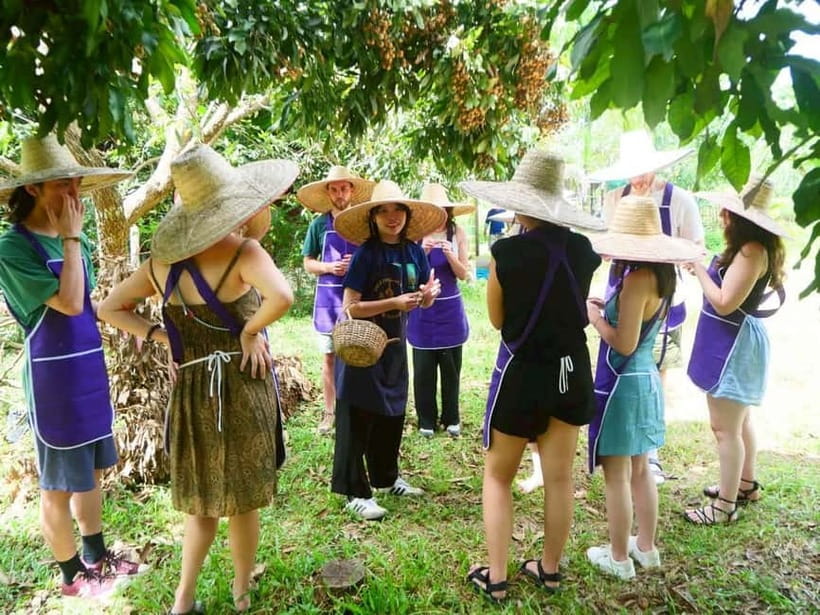 Half-Day Thai Cooking Class on a Local Farm Near Chiang Mai - The morning begins with hotel pickup and a market stop