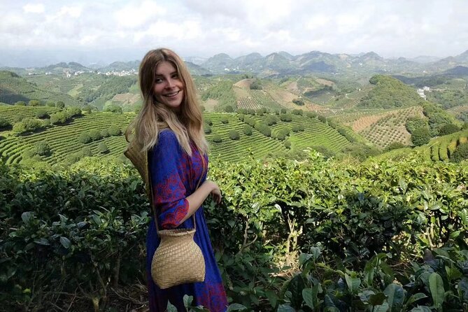 Half-day Tour: Largest Tea Plantation & Amazing Xianggong Hill - Key points at a glance