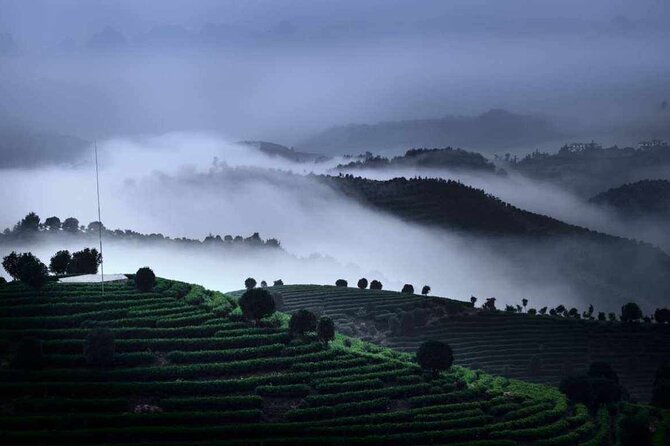 Half-day Tour: Largest Tea Plantation & Amazing Xianggong Hill - Why this six-hour pairing works