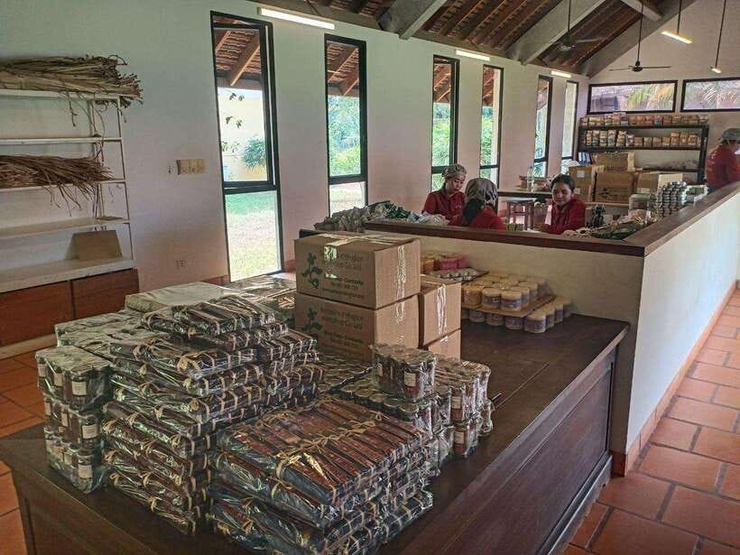 Half Day Trip: Silk Farm, Satcha, and Senteur d'Angkor Tour - Why this four-hour craft tour is worth your time
