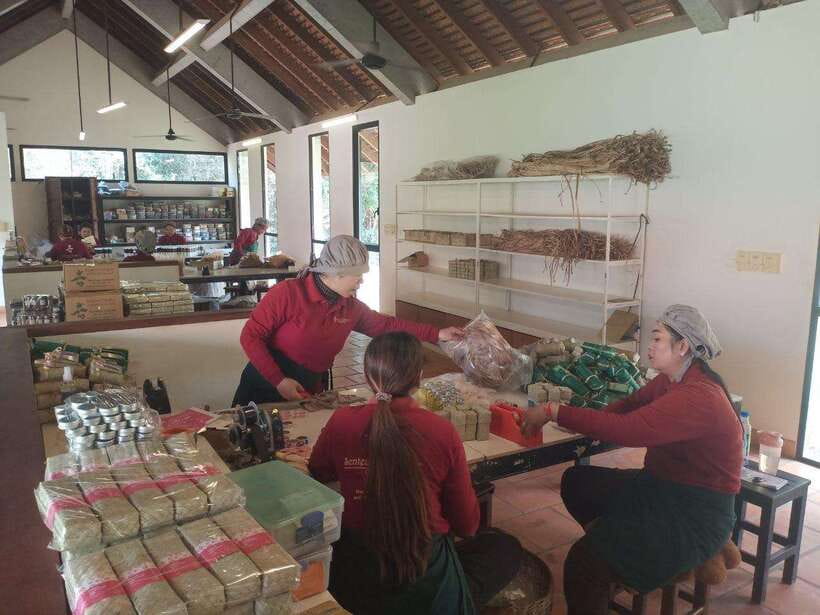 Half Day Trip: Silk Farm, Satcha, and Senteur d'Angkor Tour - Who should book this experience?
