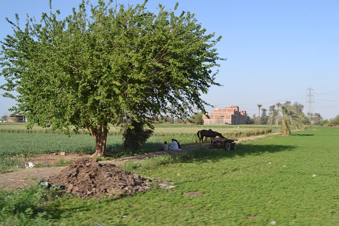 Half-Day Trip to Egyptian Green Farm from Cairo with Breakfast - Why a private tour helps here