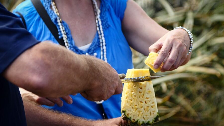 Hali'imaile: Pineapple Farm Tour - Starting at the Maui Pineapple Store