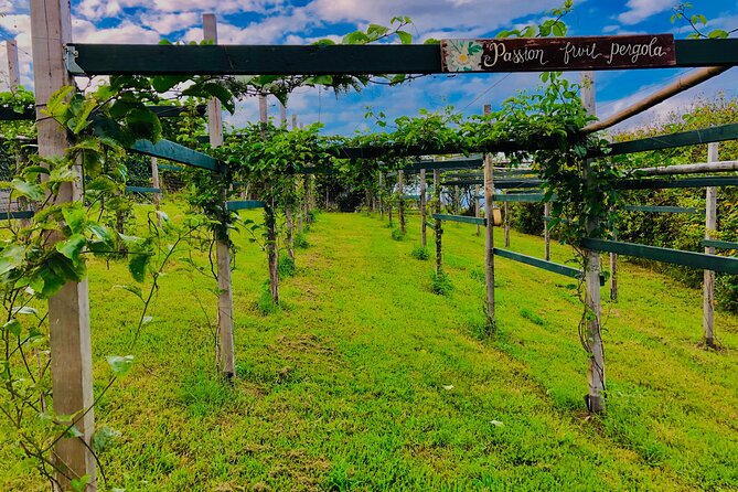 Hamakua Coast Farm Small-Group Walking and Tasting Tour - Key points to know before you book