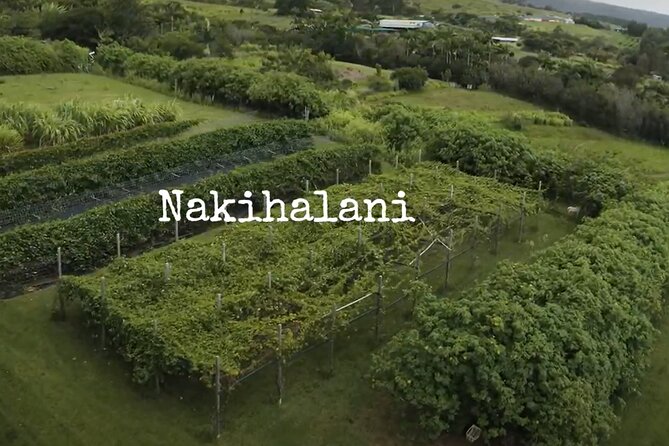 Hamakua Coast Farm Small-Group Walking and Tasting Tour - A host-led visit with room for questions