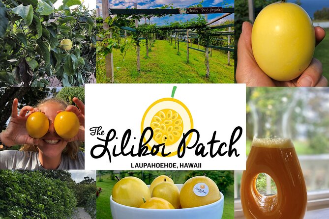 Hamakua Coast Farm Small-Group Walking and Tasting Tour - Stay longer after the two-hour tour