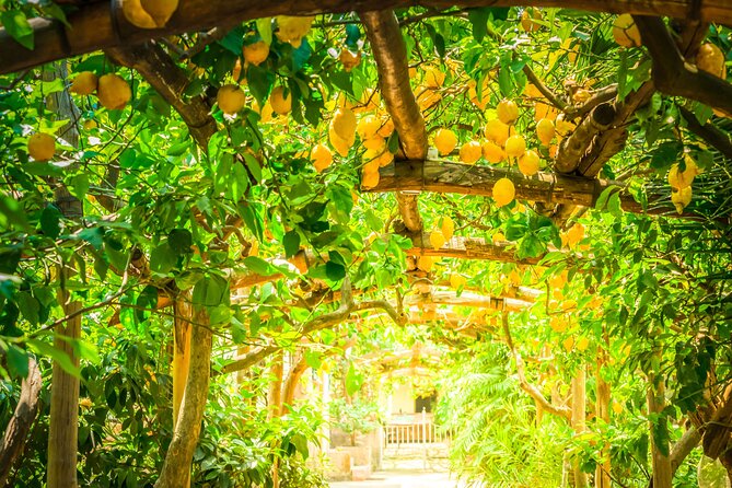 Hands-On Cooking Class & Farmhouse Tour on the Amalfi Coast - The view, the setting, and the weather question