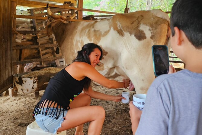 Hands-on Mexican Farm Experience: from Cow to Cheese - Pressing tortillas from scratch