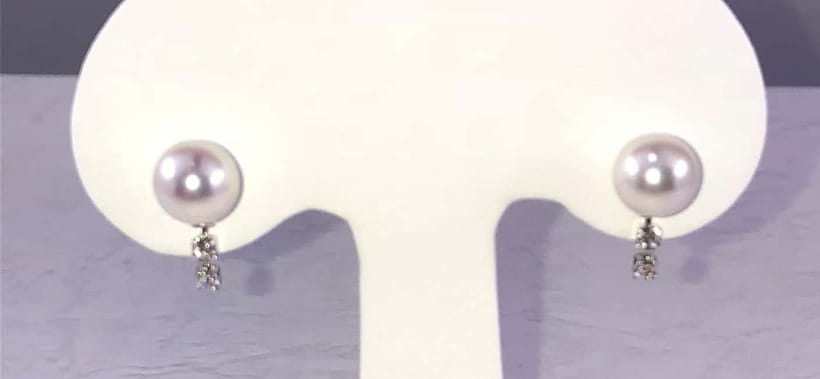 Hands-on Pearl Harvesting Workshop! - What the mixed experience tells you