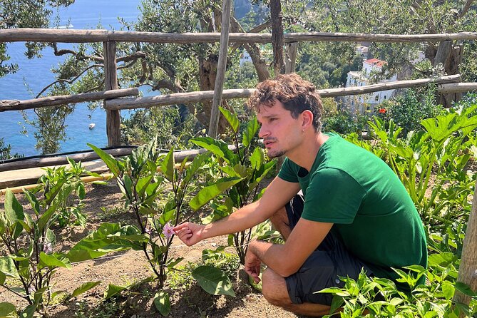 Hands-On Pizza Making Class & Farmhouse Tour with Sea Views - Getting to Via Mauro Comite, 50