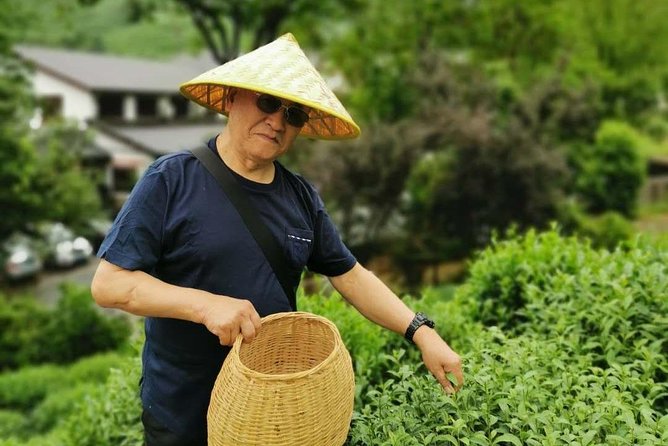 Hangzhou West Lake and Tea Plantation Half Day Tour - Meijiawu and the Longjing tea fields