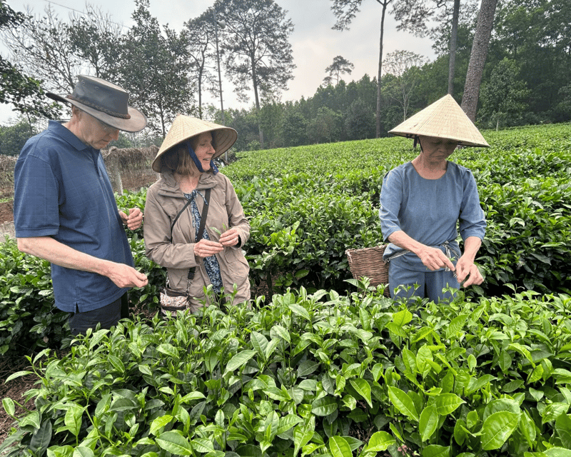 Hanoi Eco Tour: Ba Vi National Park Wonders & Tea Plantation - FAQ