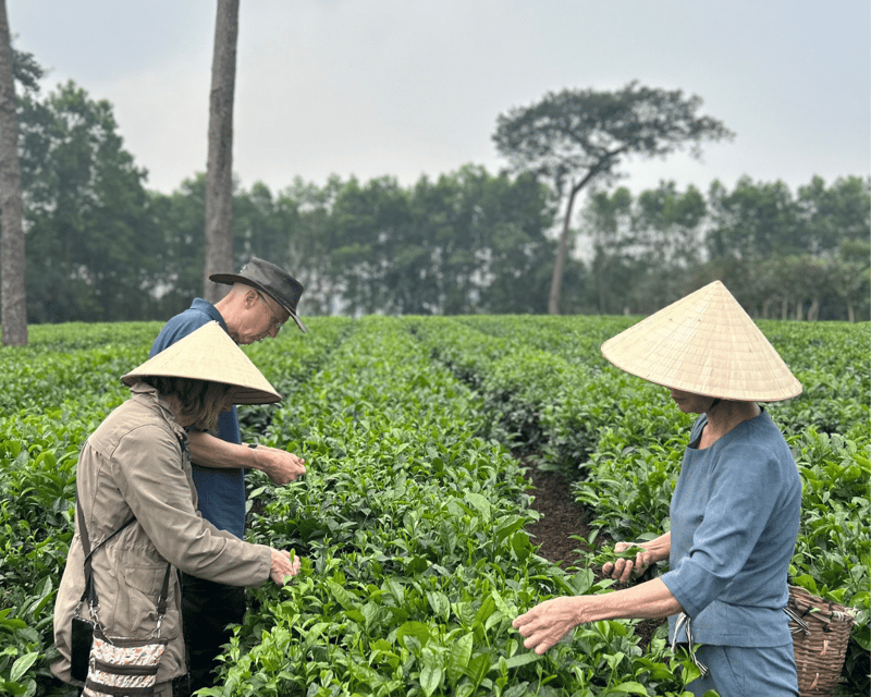 Hanoi Eco Tour: Ba Vi National Park Wonders & Tea Plantation - Lunch in the park, with local mountain flavors