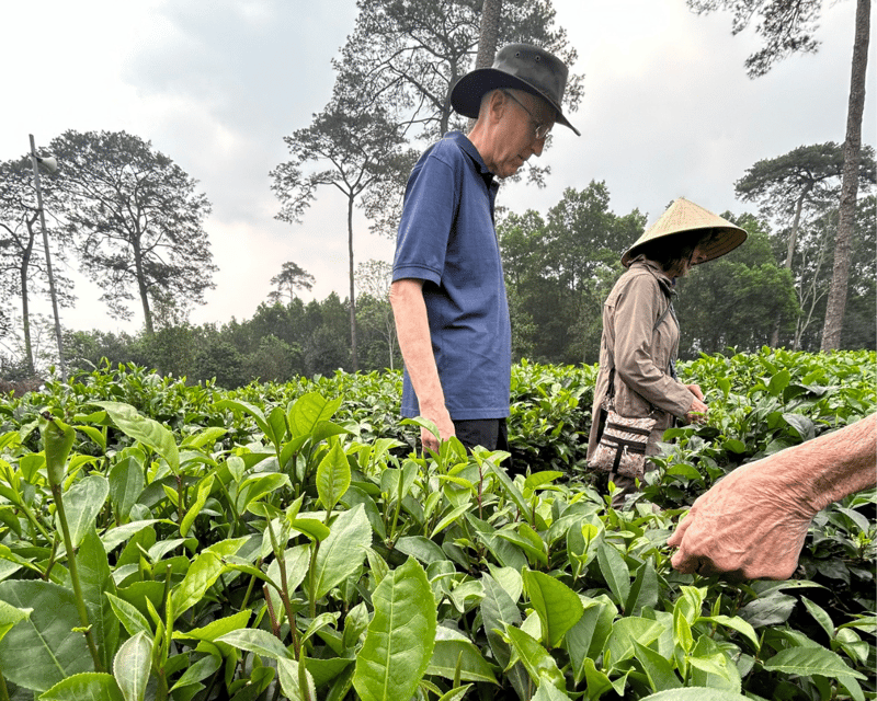 Hanoi Eco Tour: Ba Vi National Park Wonders & Tea Plantation - Who will enjoy this Ba Vi day trip