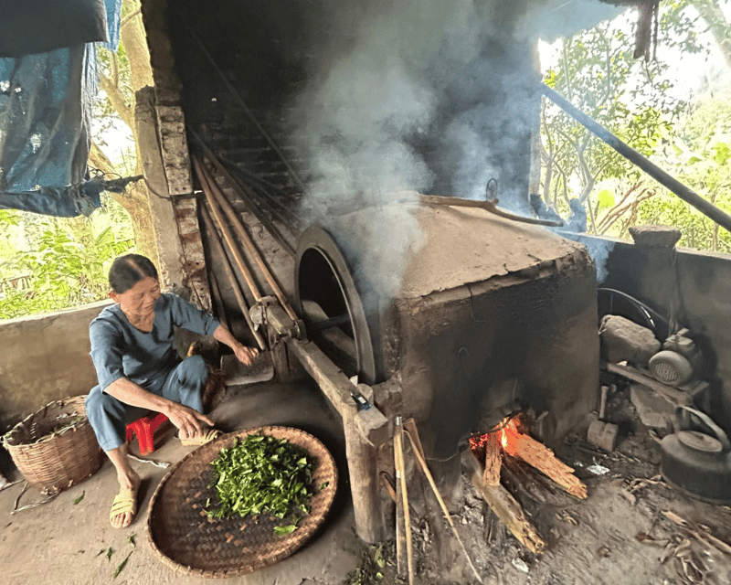 Hanoi Eco Tour: Ba Vi National Park Wonders & Tea Plantation - Should you book the Ba Vi Eco Tour?