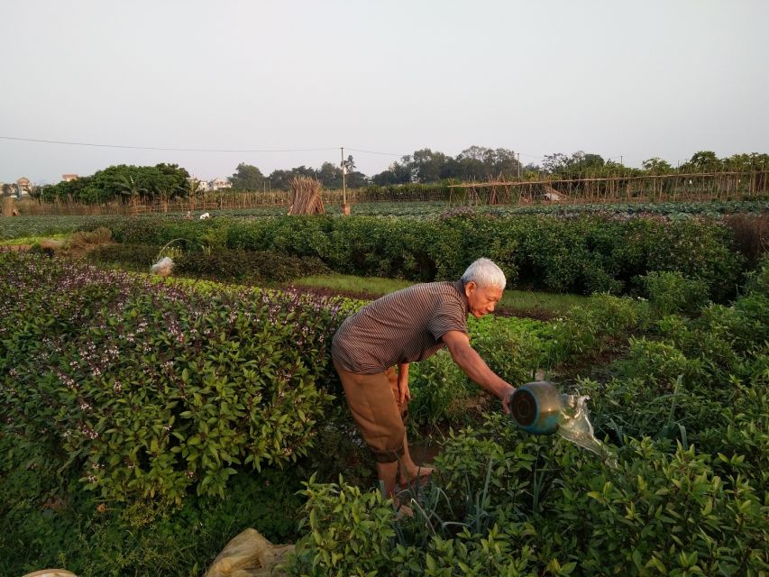 Hanoi Farm Tour and Cooking Class with Local Family - What the four-hour schedule means