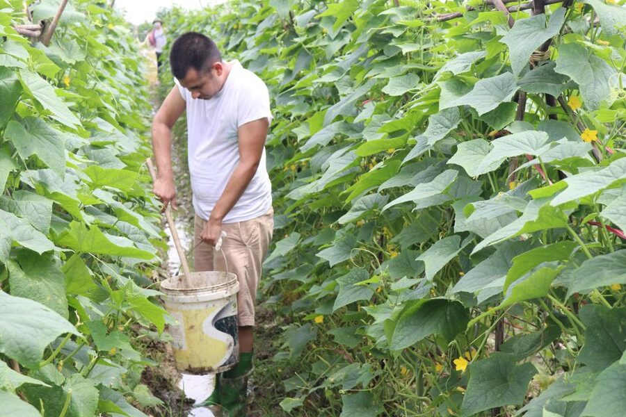 Hanoi: Village Farm Tour and Cooking Class with Lunch - Why this day trip feels different from a standard Hanoi tour